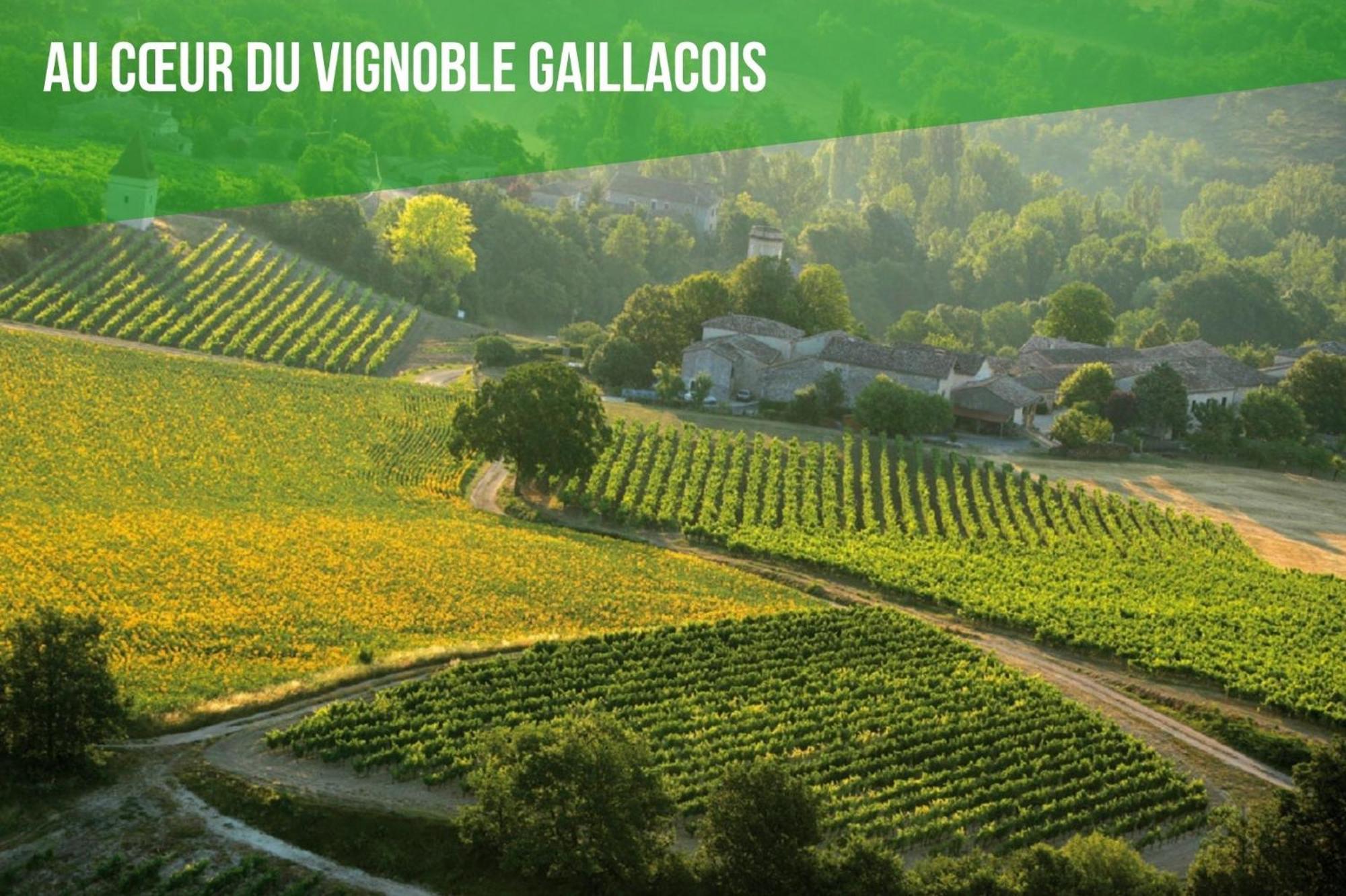 Le Cottage Nature Vigne Rouge Sauna Gaillac Entre Albi-Toulouse & Les Cottages Du Tarn Brens  Zewnętrze zdjęcie