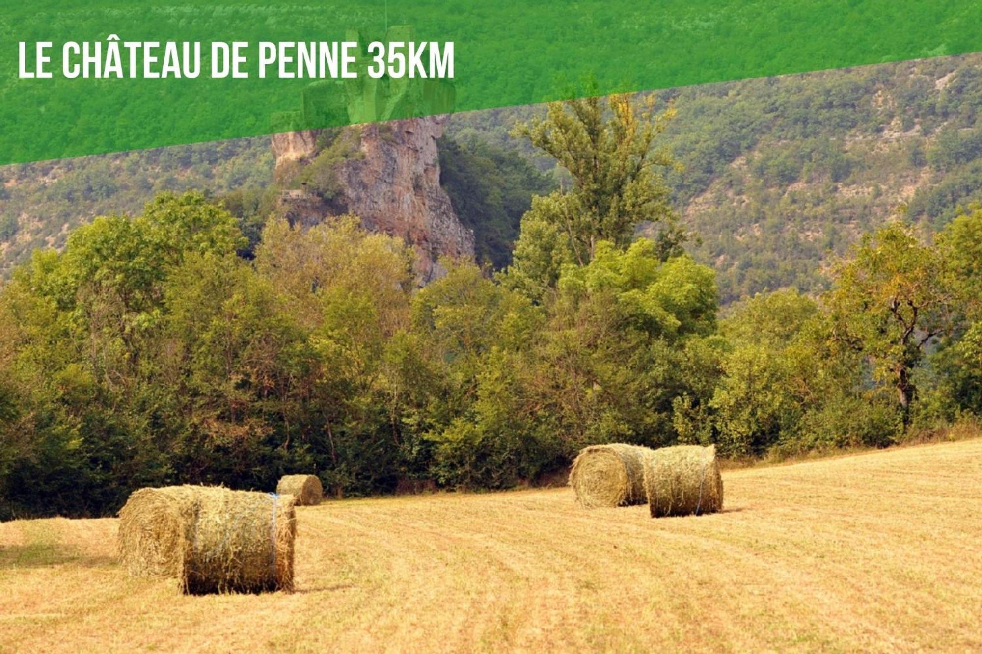Le Cottage Nature Vigne Rouge Sauna Gaillac Entre Albi-Toulouse & Les Cottages Du Tarn Brens  Zewnętrze zdjęcie